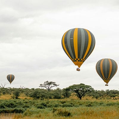 Tanzania Safari and Tours