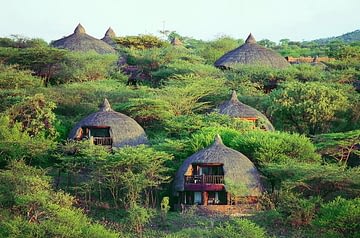 Tanzania Safari and Tours