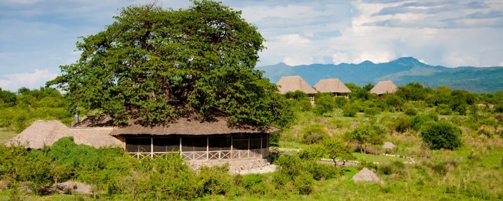 Tanzania Safari and Tours