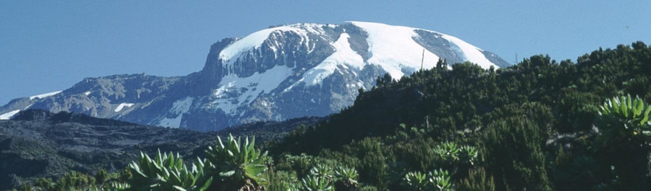 7 Day Mt Kilimanjaro Machame Route