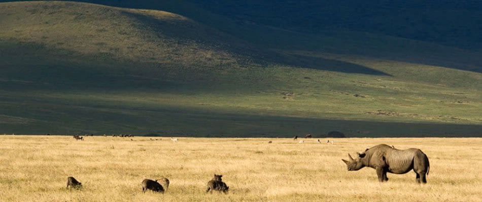 ngorongoro conservation area