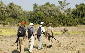 tanzania walking safaris