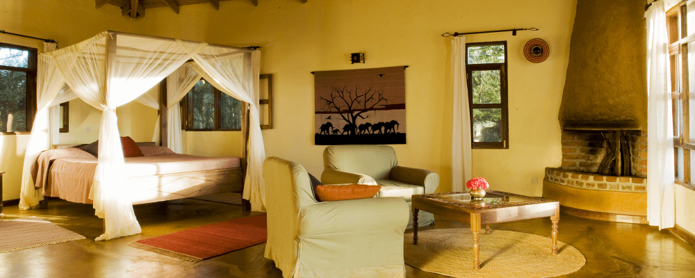 Tanzania Safari and Tours