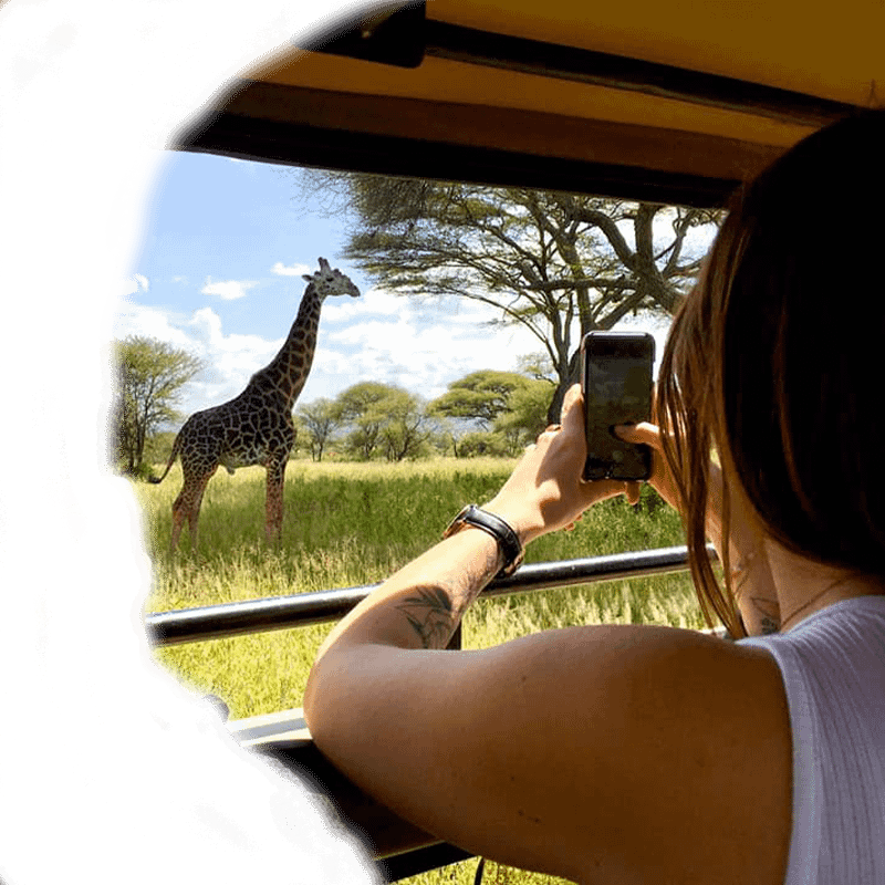 Tanzania Safari and Tours